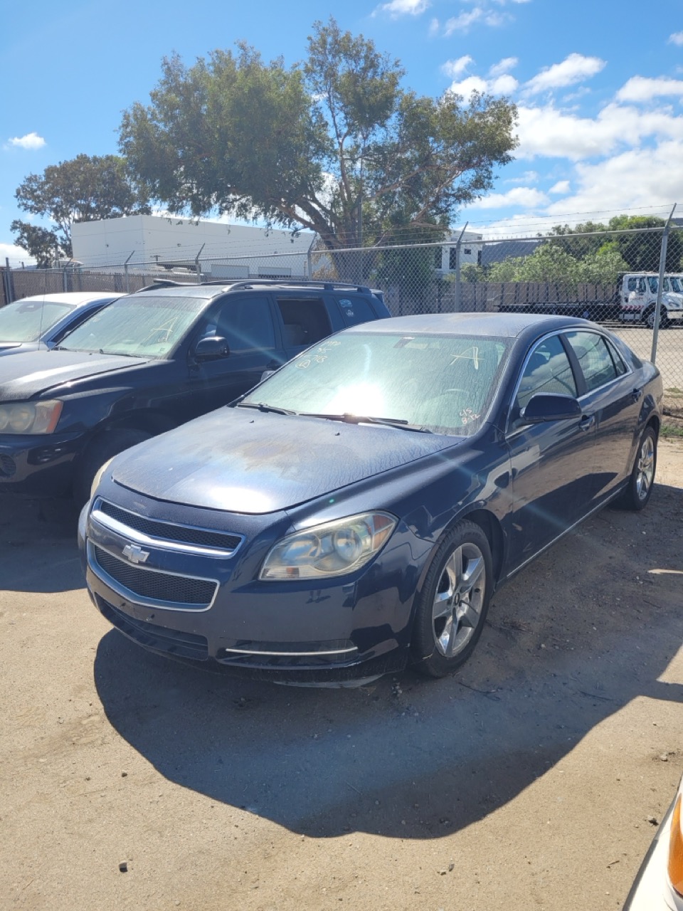 Auction Vehicle