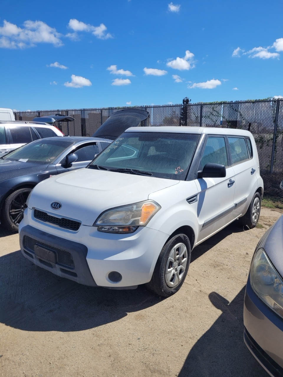 Auction Vehicle