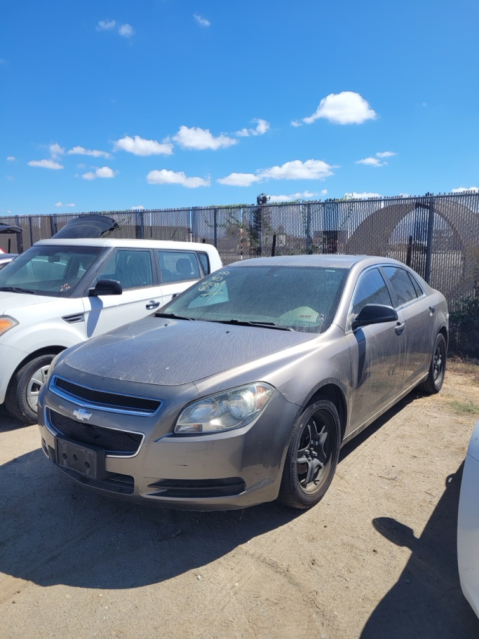 Auction Vehicle
